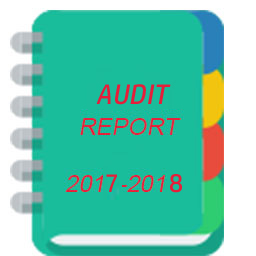 Audit Report
