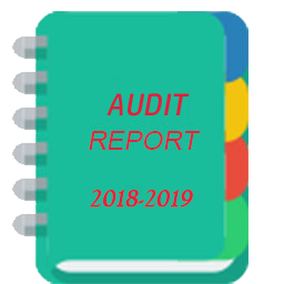 Audit Report