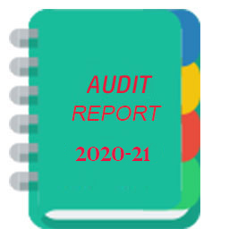 Audit Report